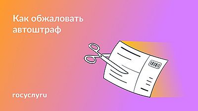 Изображение предоставлено пресс-службой Госавтоинспекции Хакасии